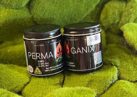 Photograph of product: Pre Pack | GMO | Perma Ganix - 3.5g