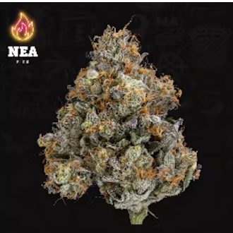 Photograph of product: Flower | Lava Cake - 3.5g