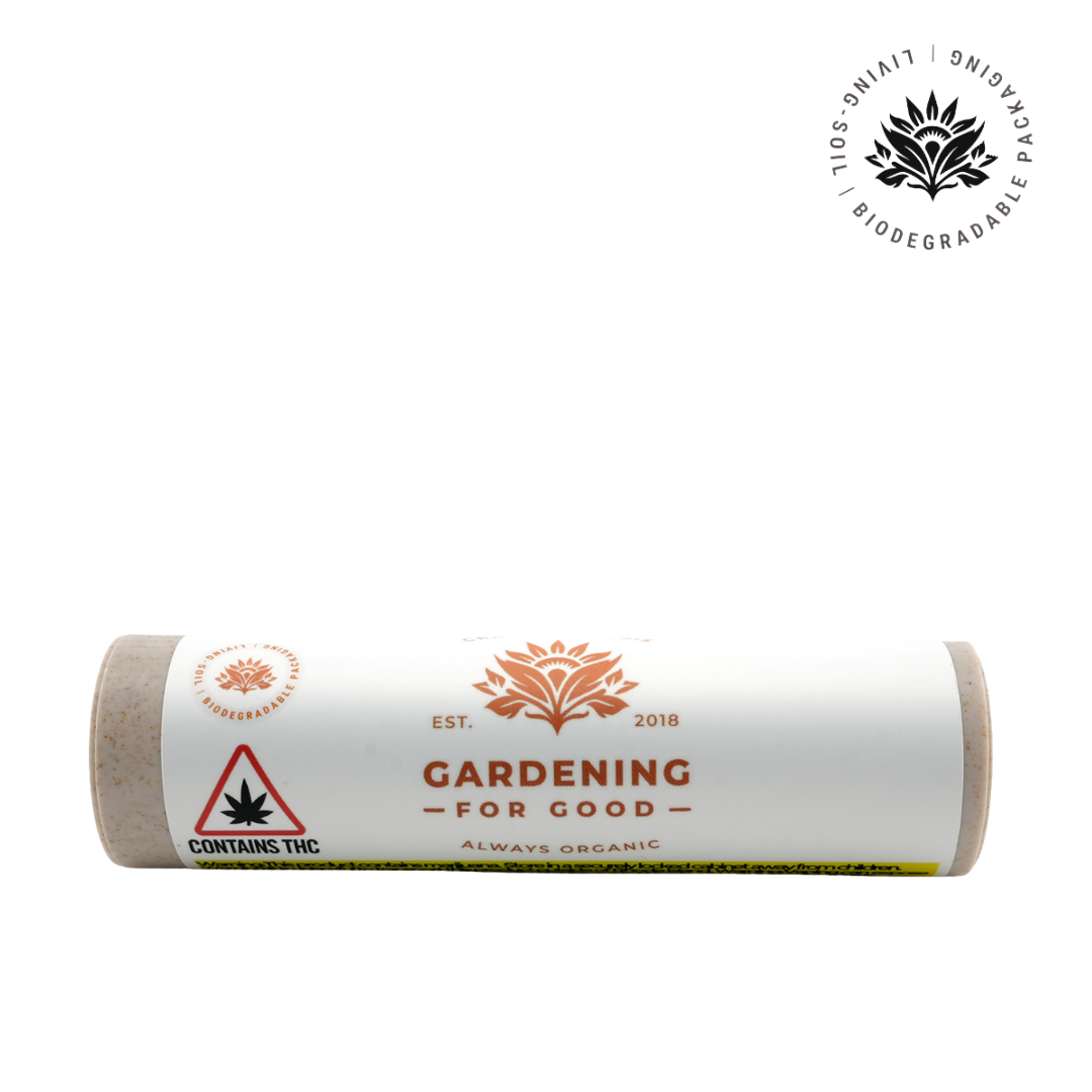 Photograph of product: Ghost Train Haze - 5pk 1g Pre-Rolls