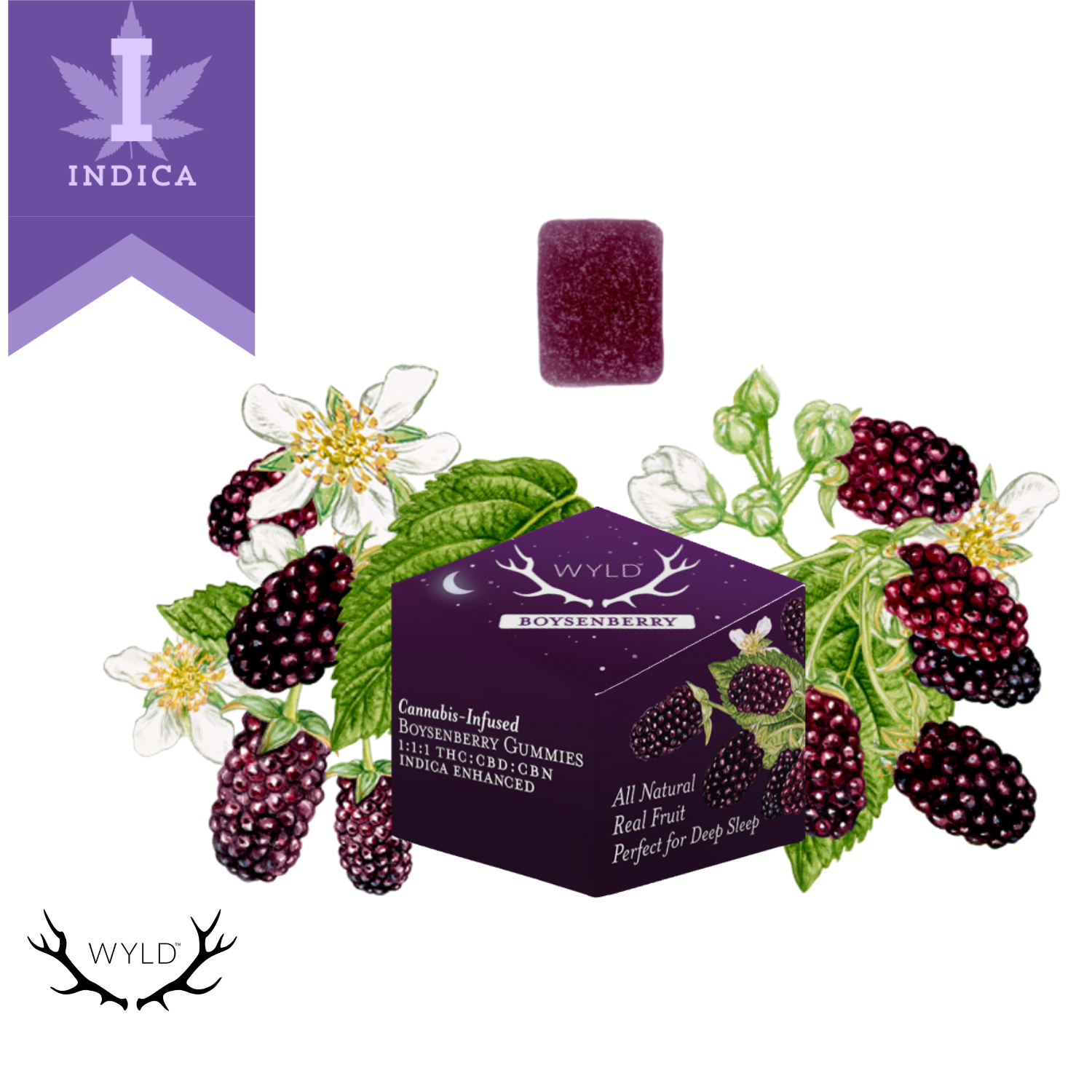 Photograph of product: Wyld | Edible TH-oui | Gummies 1:1:1 | 10pk | Boysenberry (IDH) | 100mgTH-oui/100mgCBD/100mgCBN