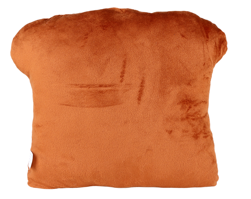 Photograph of product: Fuckin' Toasted Bread Slice Plush Pillow | 15.5"x13"