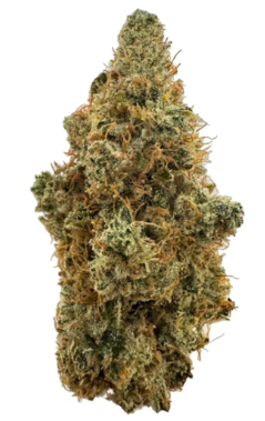 Photograph of product: Dirty Taxi | Flower OZ - 28g