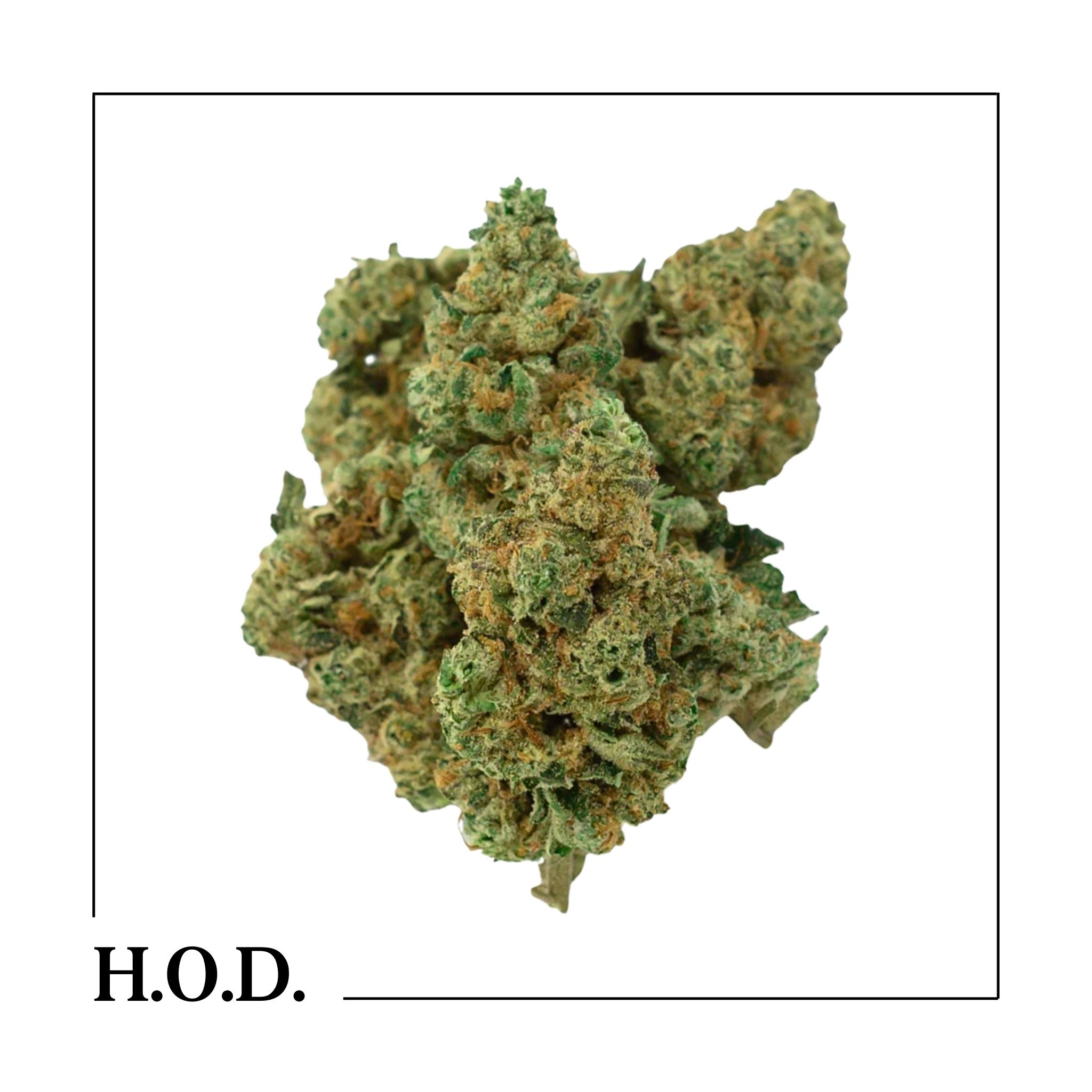 Photograph of product: Kitchen Sink 28g