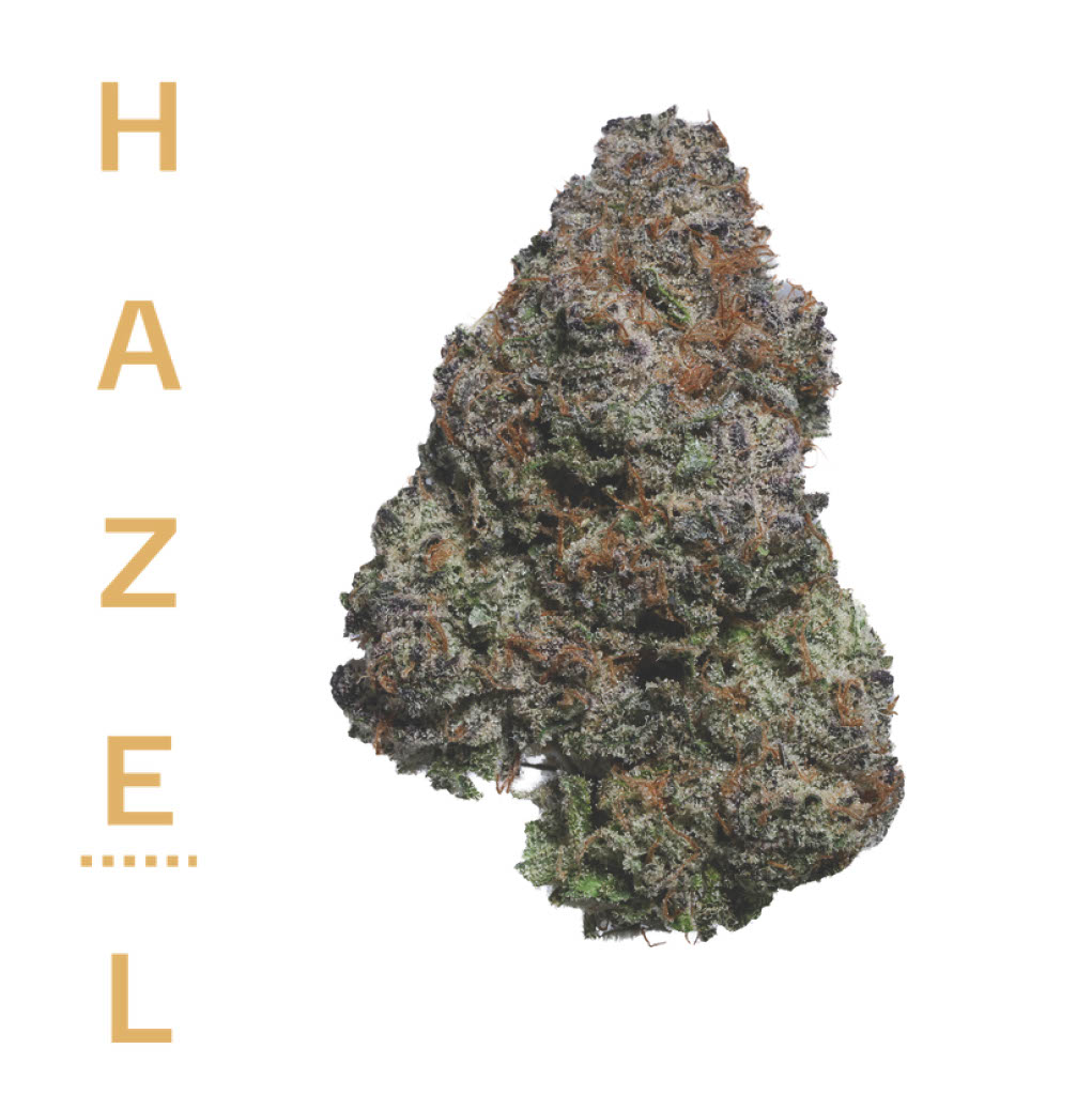 Photograph of product: Hazel Fire OG 3.5g