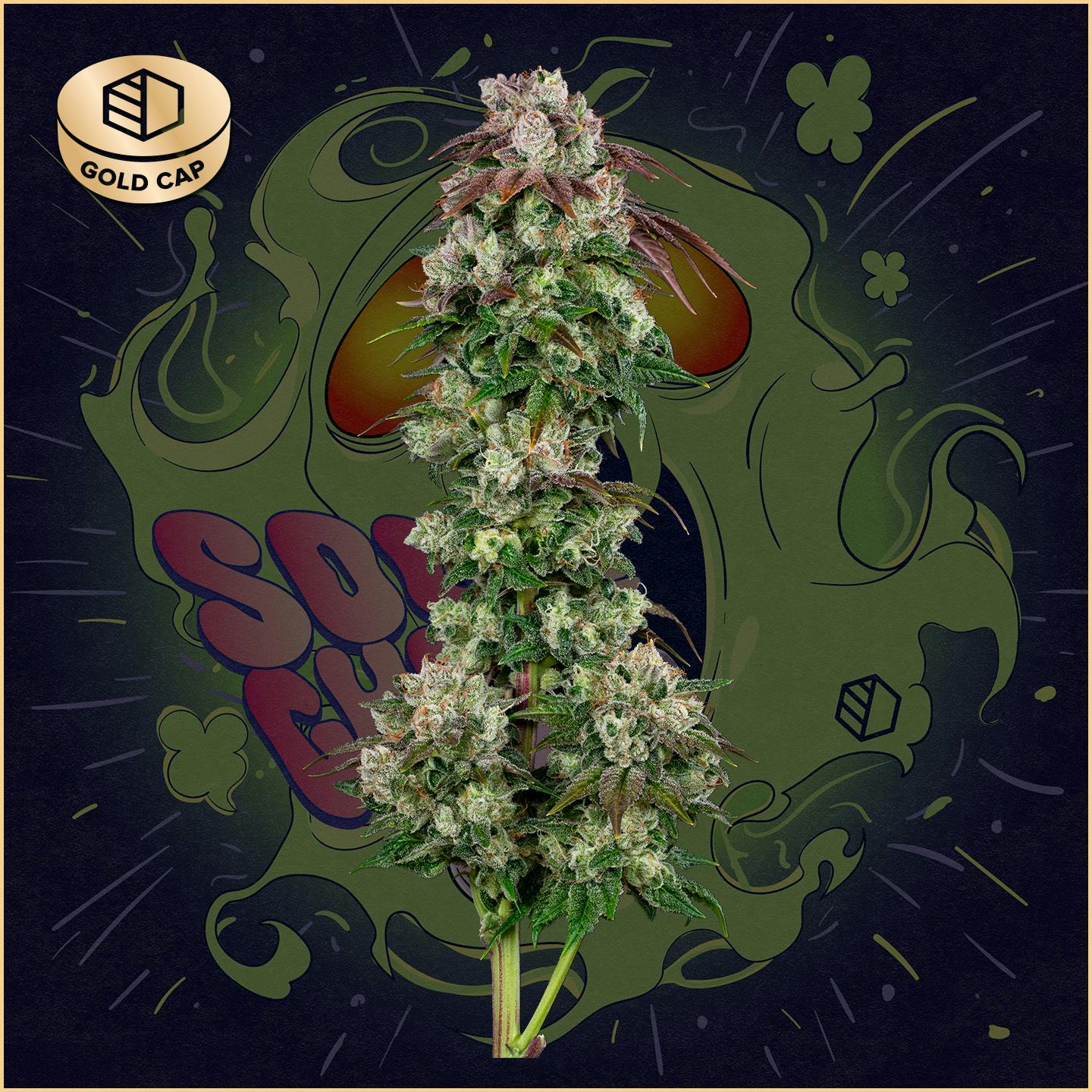 Photograph of product: Sour Ghost