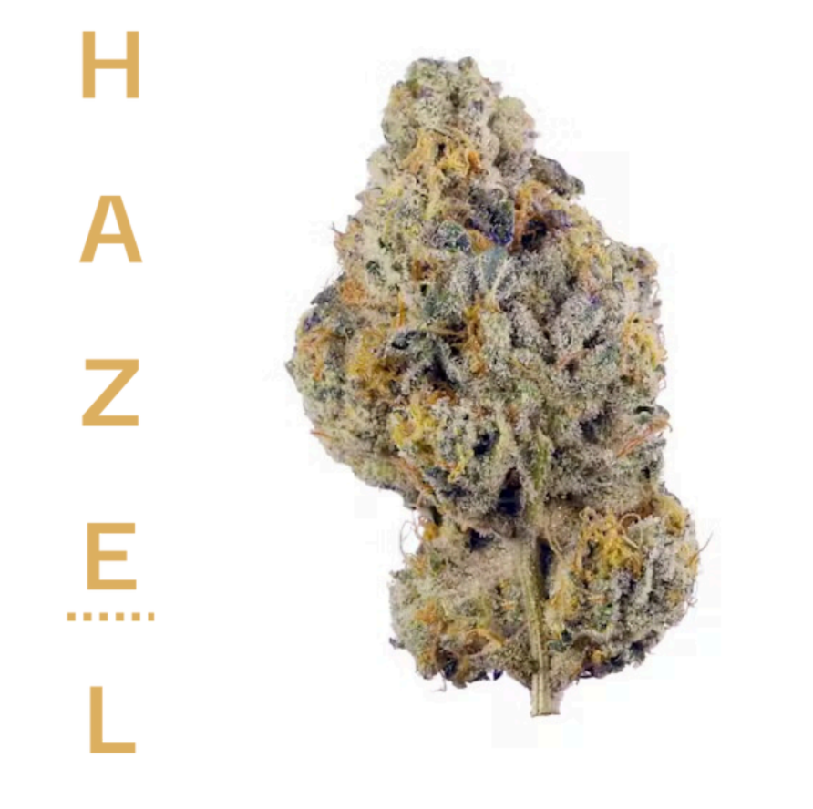 Photograph of product: TROPICAL CAKE - 3.5 G
