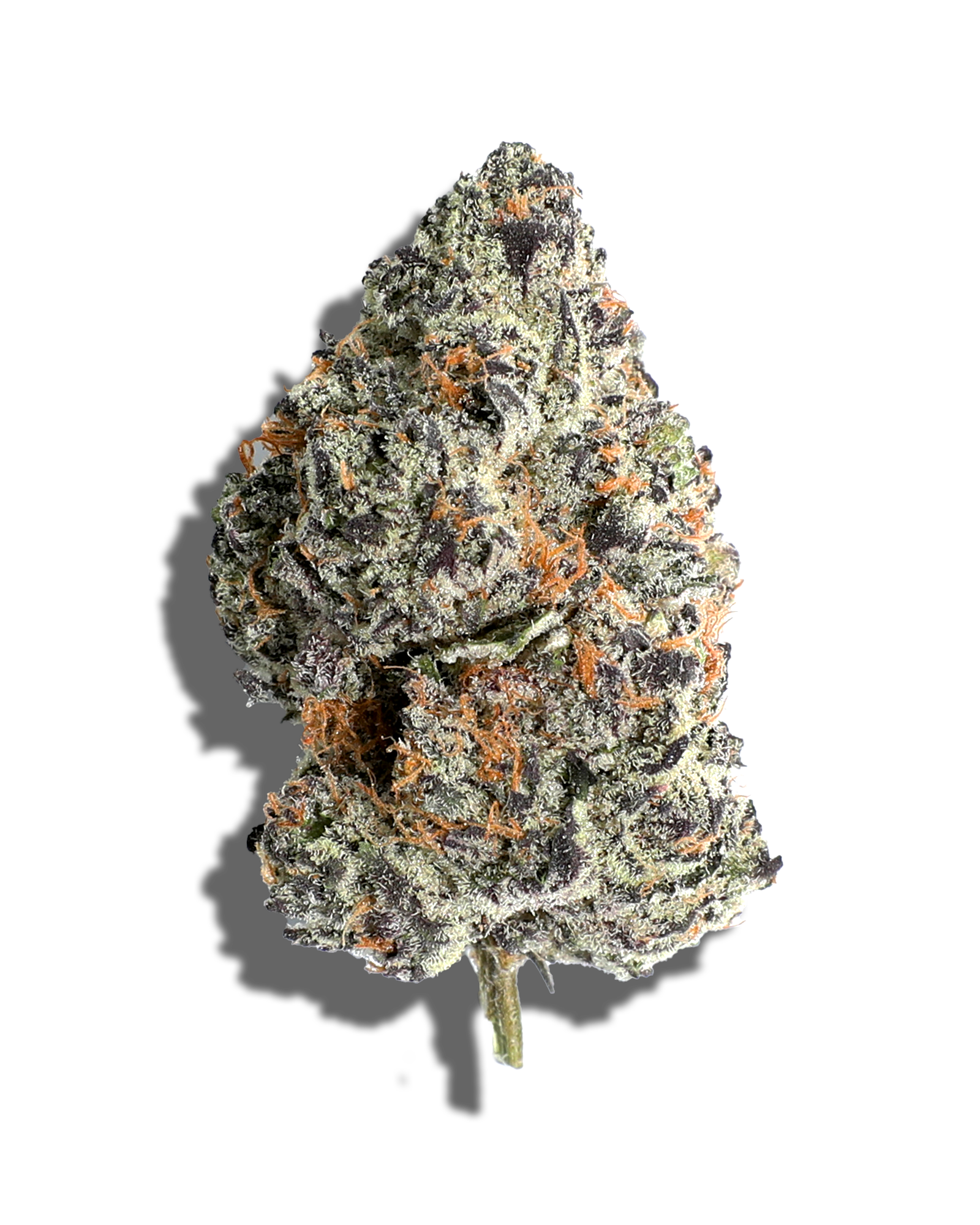Photograph of product: LAVA CAKE 1OZ - 28g