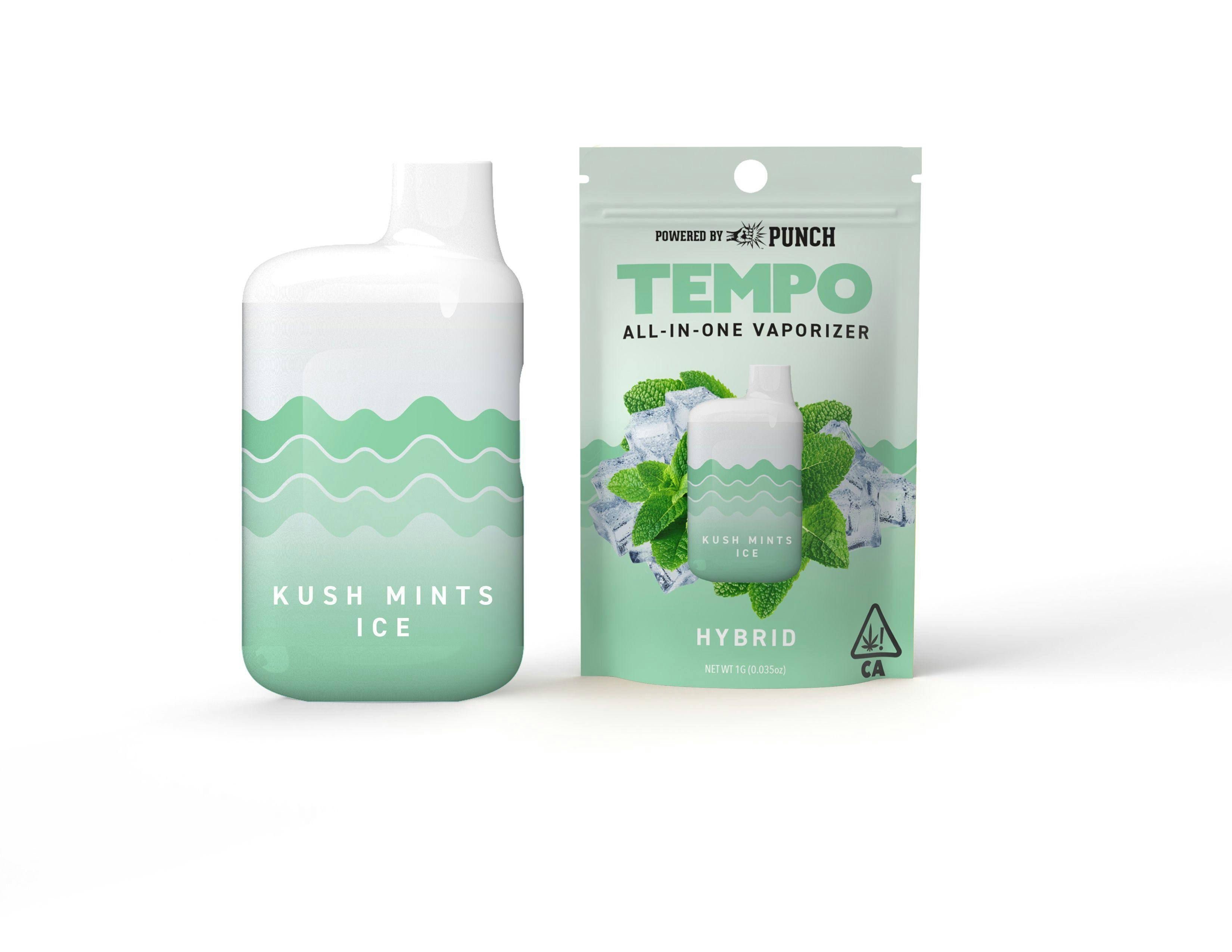 Photograph of Product: Tempo - 1g Kush Mints Ice All-in-One