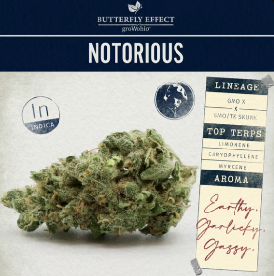 Photograph of product: Notorious | Smalls | 14.15g