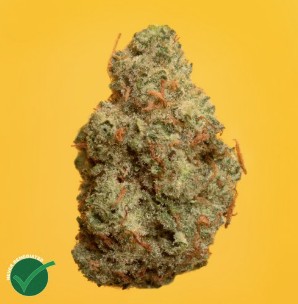Photograph of Product: Flower | Grand Pappy's Chillemon | 4972 - 3.5g