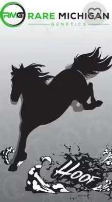 Photograph of product: RARE MICHIGAN GENETICS | HOOF - 10x0.5G PRE-ROLL | 5G | HYBRID