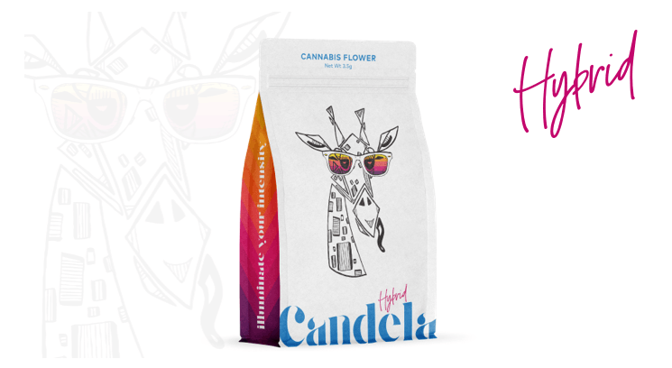 Photograph of product: Apple Tartzs 3.5g by Candela