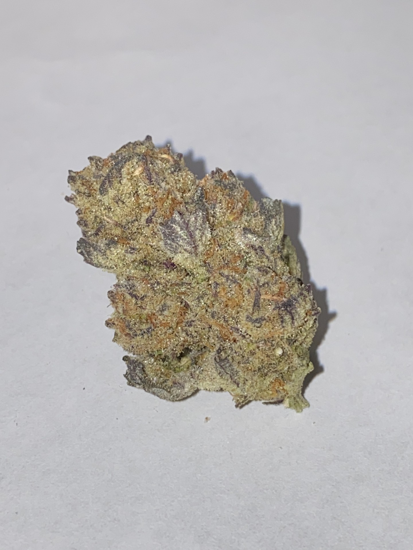 Photograph of product: Honeybud (H) - 28g