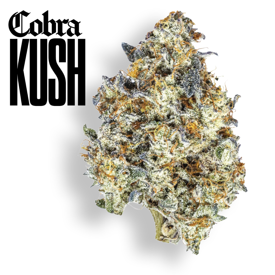 Photograph of product: Claybourne Co. - Cobra Kush (Hybrid) Gold Cuts Flower - 3.5g