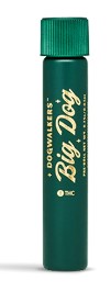 Photograph of product: Dogwalkers | Tahoe Alien X OMG Play Infused Pre-Roll 1g