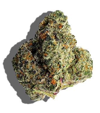 Photograph of product: Paradise Canna Co | Gummiez (S-D) - 3.5g