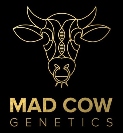 Photograph of product: Mad Cow Single Joint | Lambs Bread