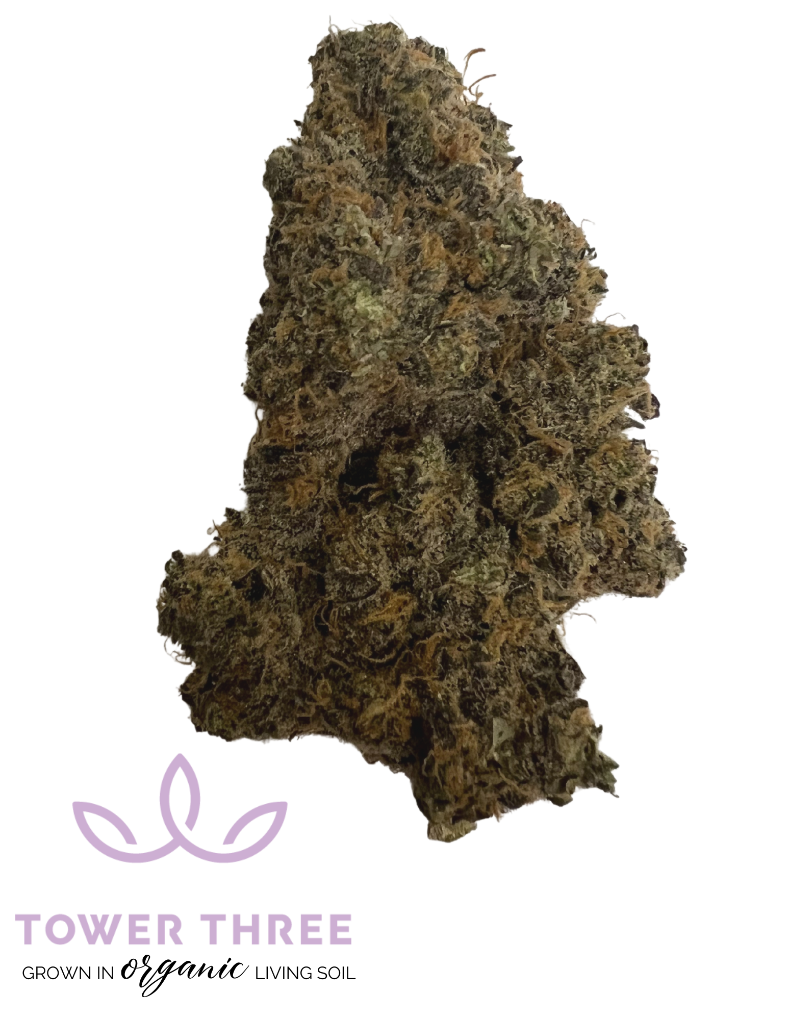 Photograph of product: MoonButter - Buds 3.5g