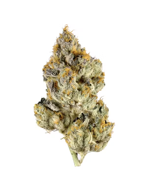 Photograph of product: Lemon Cherry Gelato Pre Roll (1g)