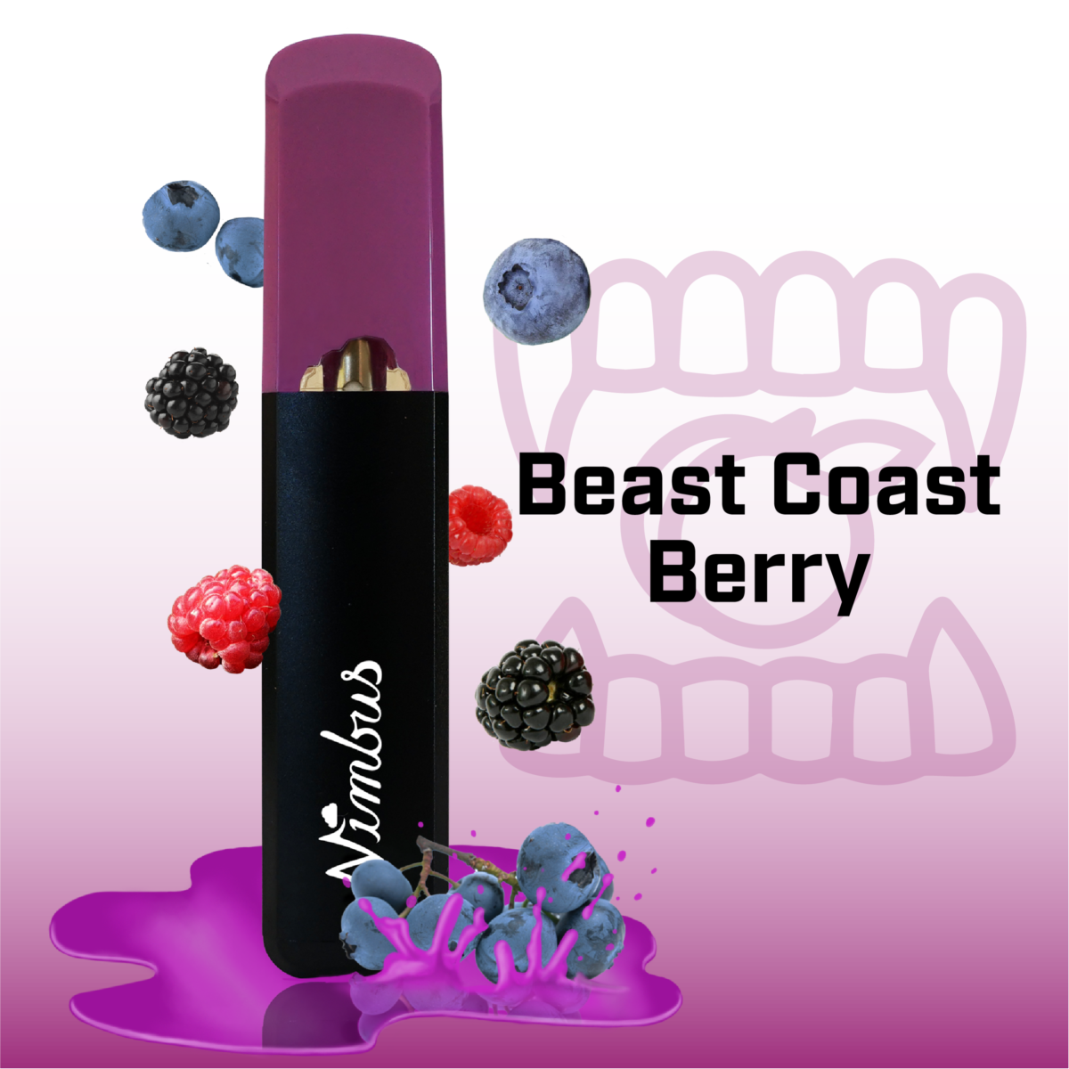Photograph of product: Beast Coast Berry (SH) - 1g Disposable Vape