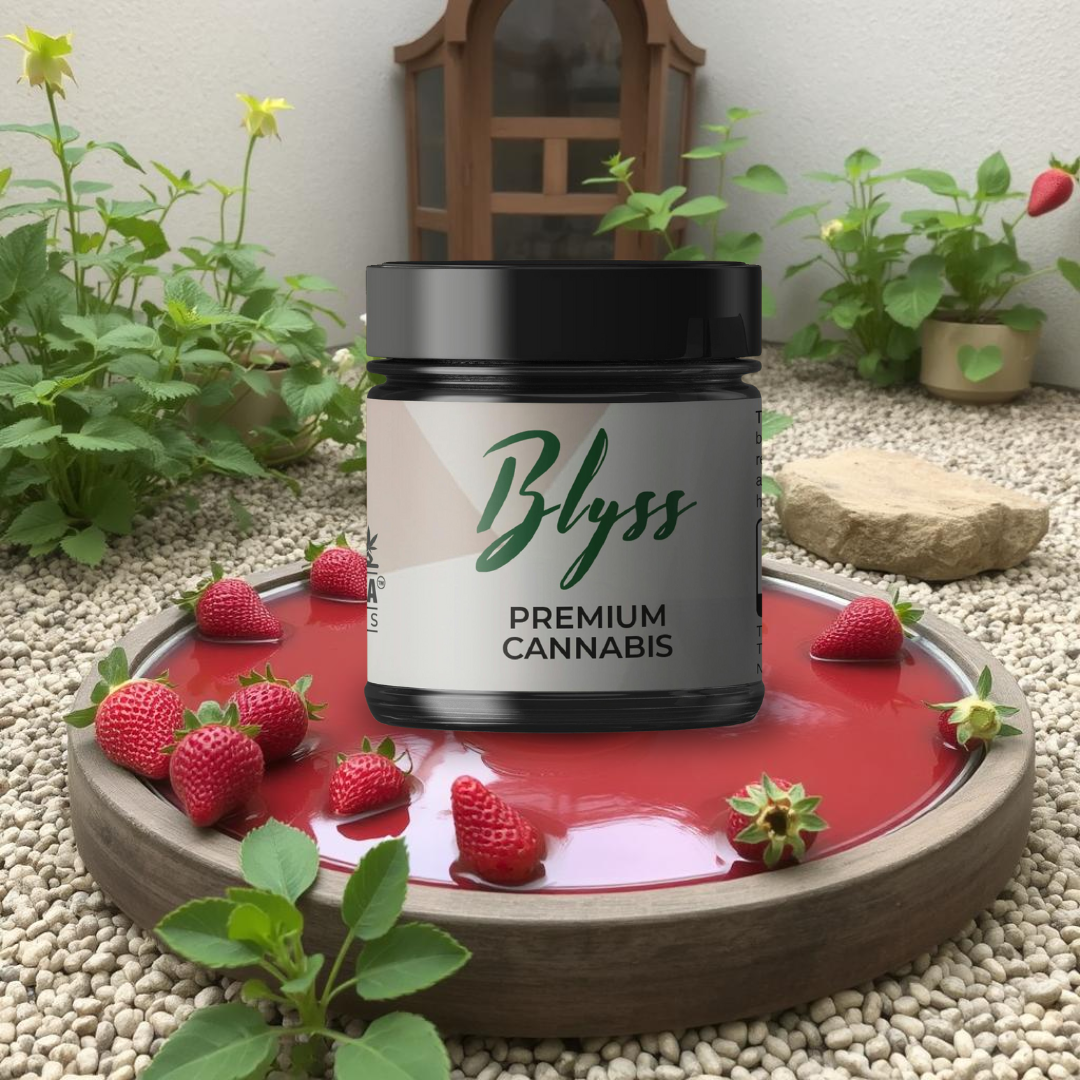 Photograph of product: Black Buddha-Blyss Strawberry Jam-Flower-3.5g
