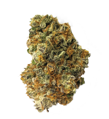 Photograph of product: Banana Daddy | Popcorn - 7g