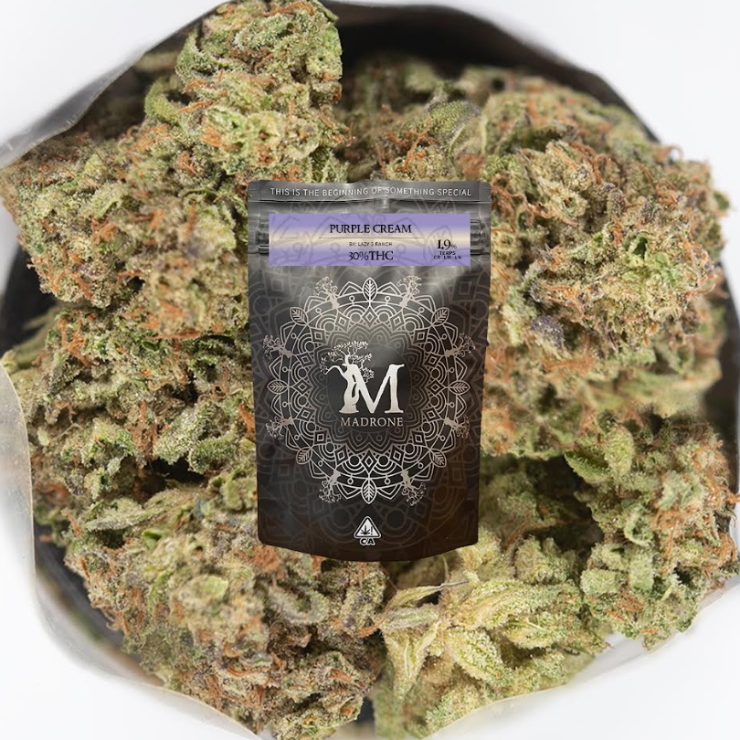 Photograph of product: PURPLE CREAM - 3.5 G