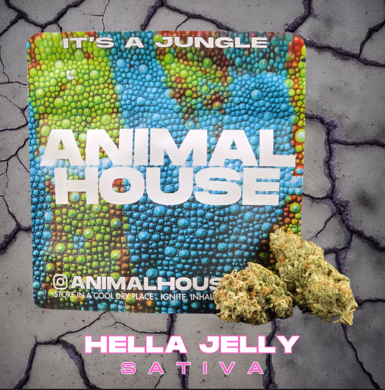 Photograph of product: Animal House | Hella Jelly Small Flower 5g | Oui'd-Hybrid