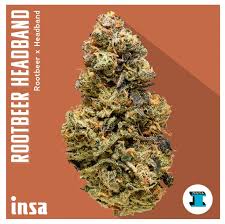 Photograph of product: Insa | Rootbeer Headband | 3.5 - 14g