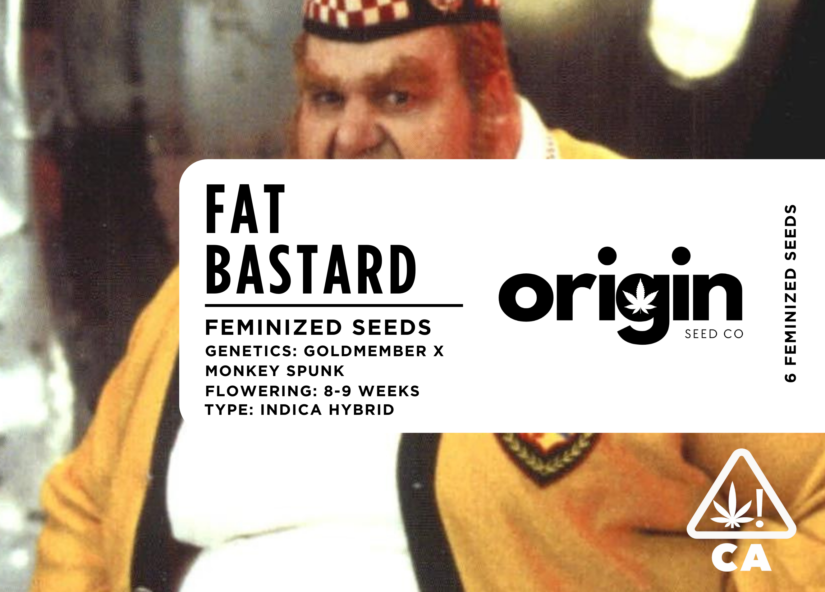 Photograph of product: Feminized 6pk - Fat Bastard