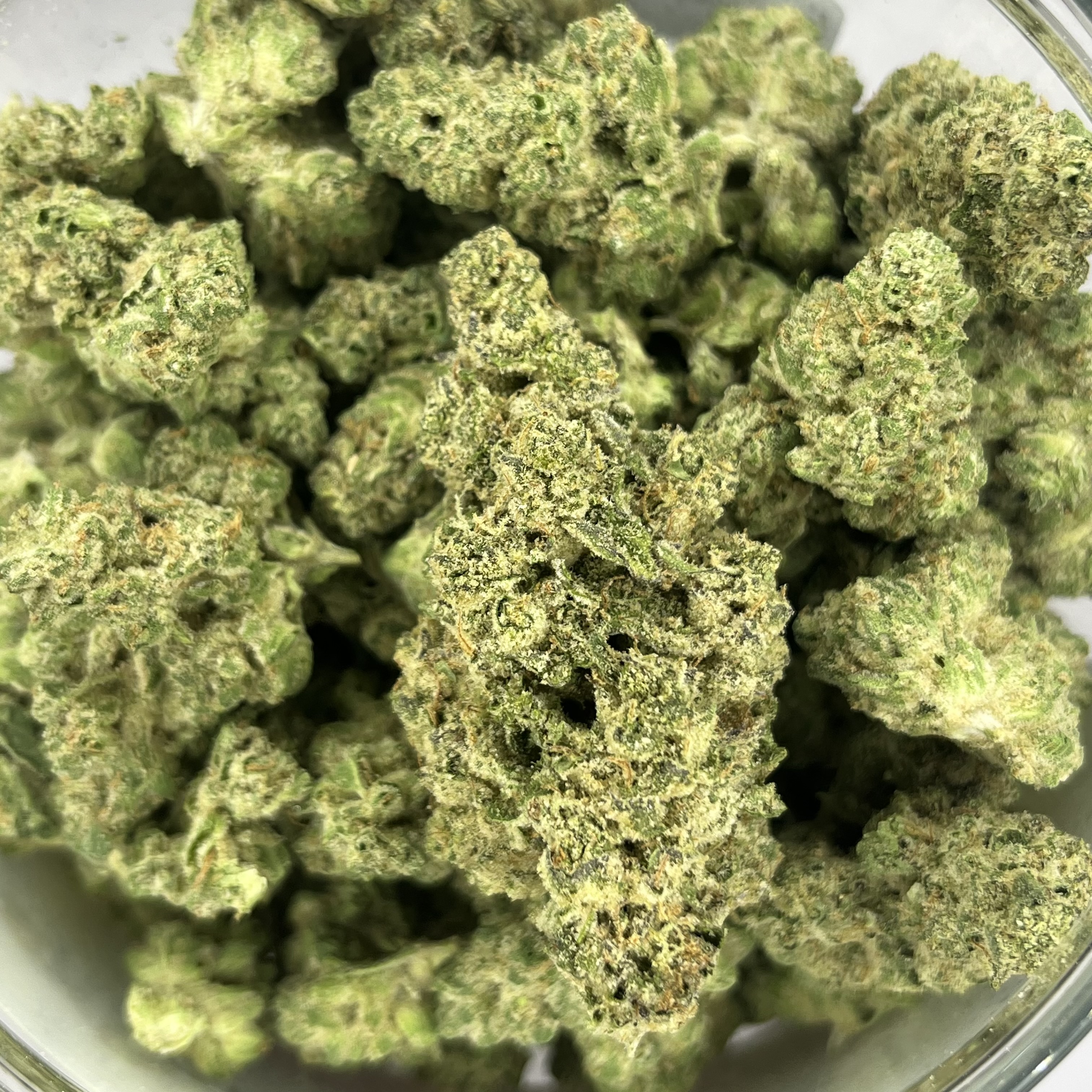 Photograph of product: Gold Shelf - Jungle Pie (I) - 28g