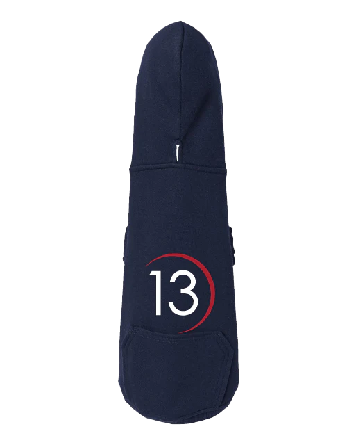 Photograph of product: P13 Blue Pet Hoodie Small