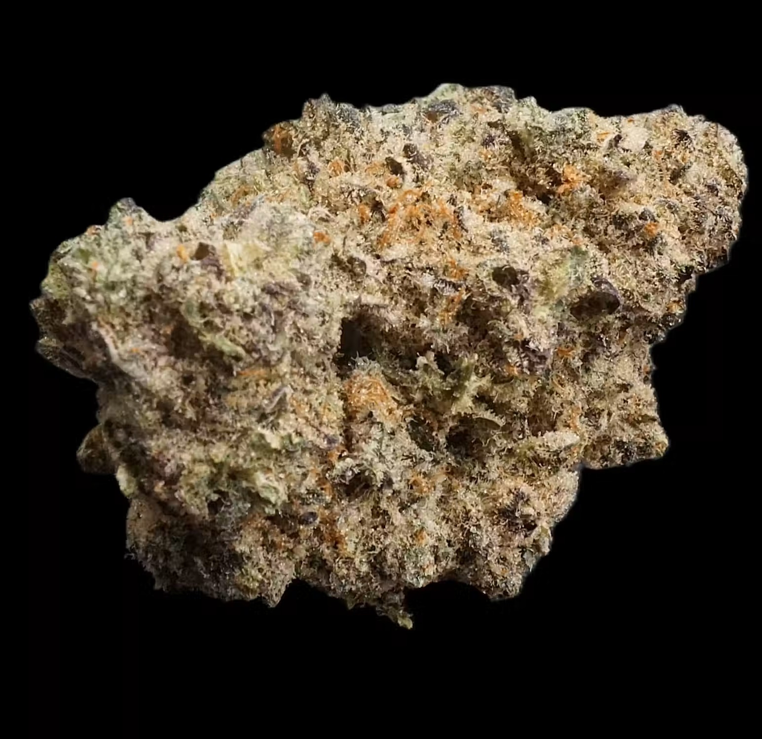 Photograph of product: (Fire) Grape Cream Cake - Oui'd Hybrid - Bulk Flower