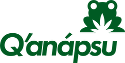 Photograph of product: Q'anapsu Logo Lighter