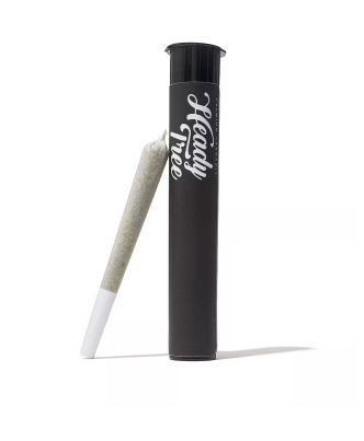 Photograph of product: Heady Tree | Pineapple Slushee | 1g | Pre-Roll