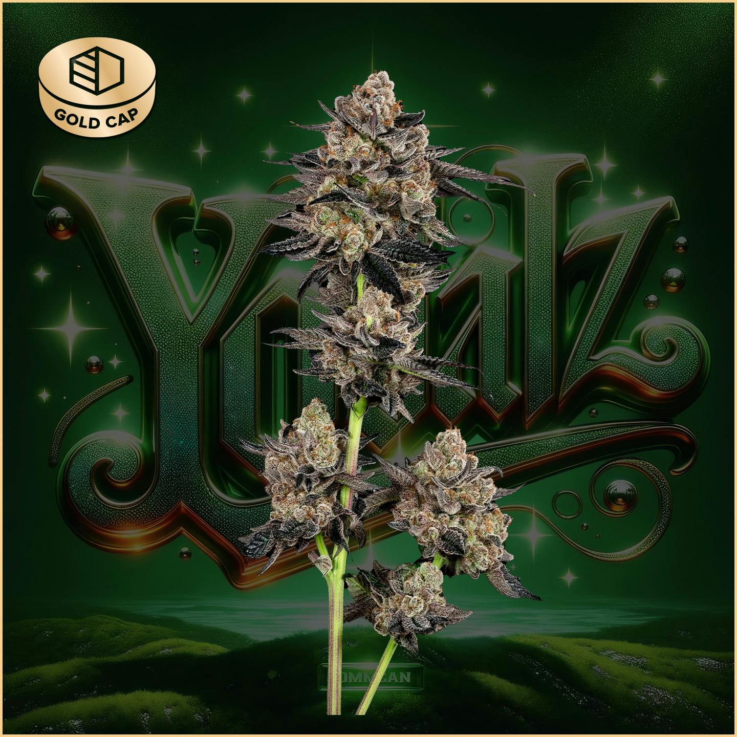Photograph of product: Yodalz
