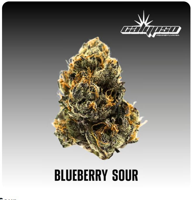 Photograph of product: Blueberry Sour Smalls - 14g