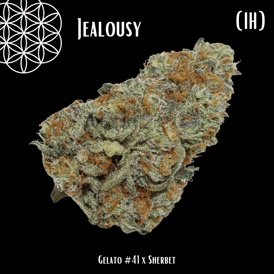 Photograph of product: Flower Of Life | Jealousy | Hybrid | Bulk Flower | Platinum - 1g