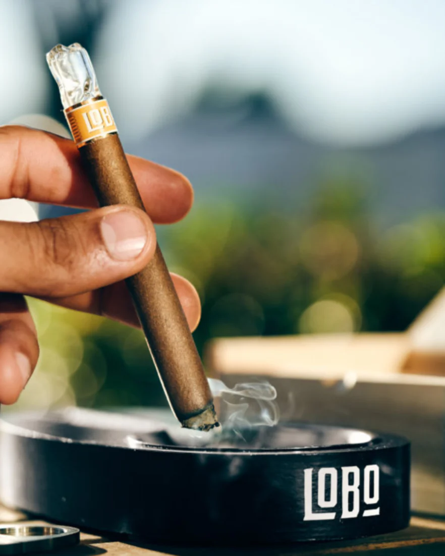Photograph of product: Lobo | Bold | Razberry Cookie | Hybrid | Sauce and au chocolat Infused Hemp Wrapped Blunt | 1g