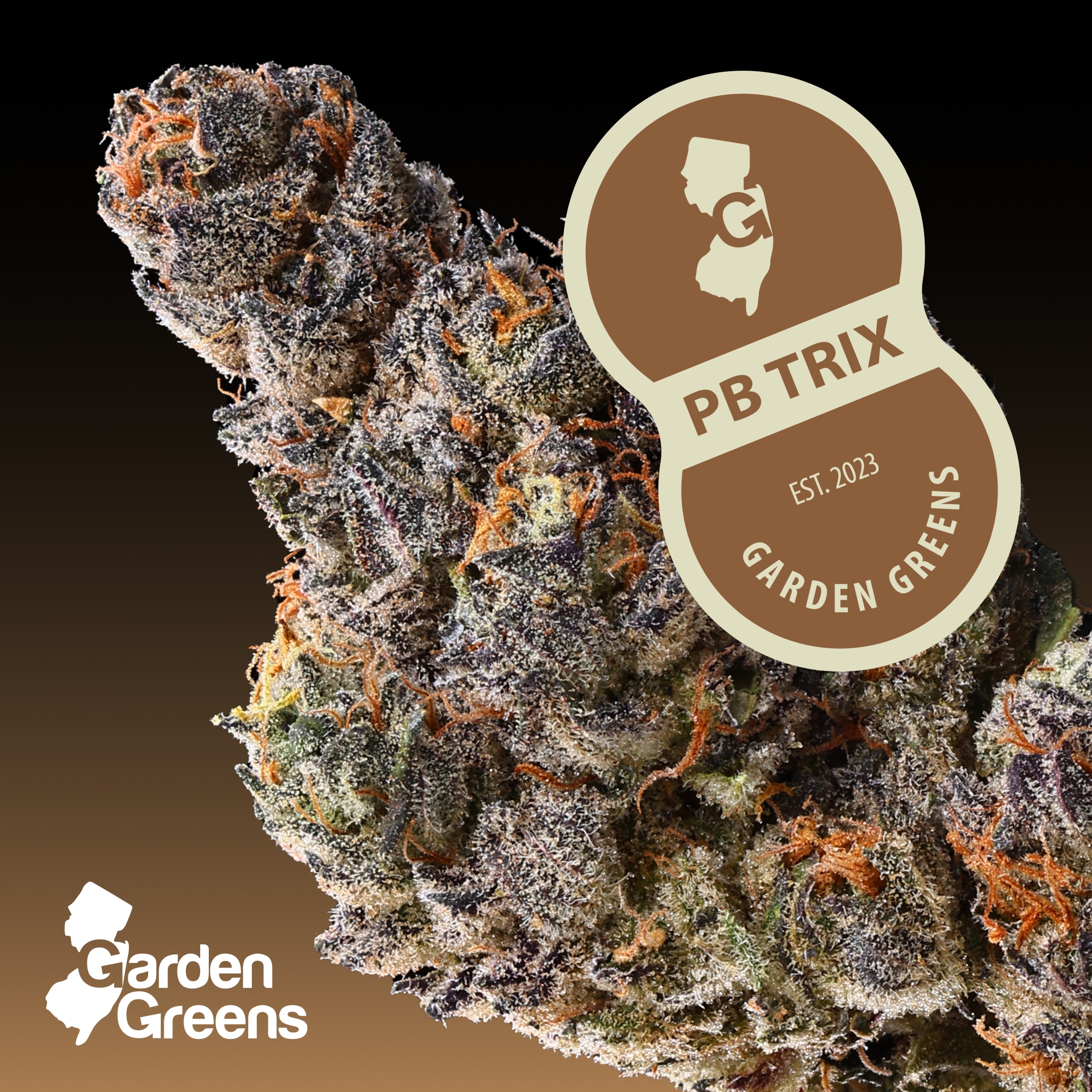 Photograph of product: Garden Greens Peanut Butter Trix Flower (REC) - 3.5g