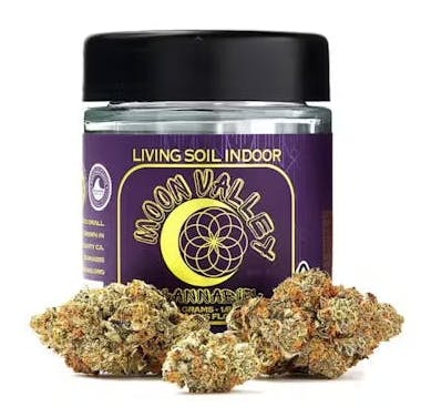 Photograph of product: Gelato 33 3.5g - 