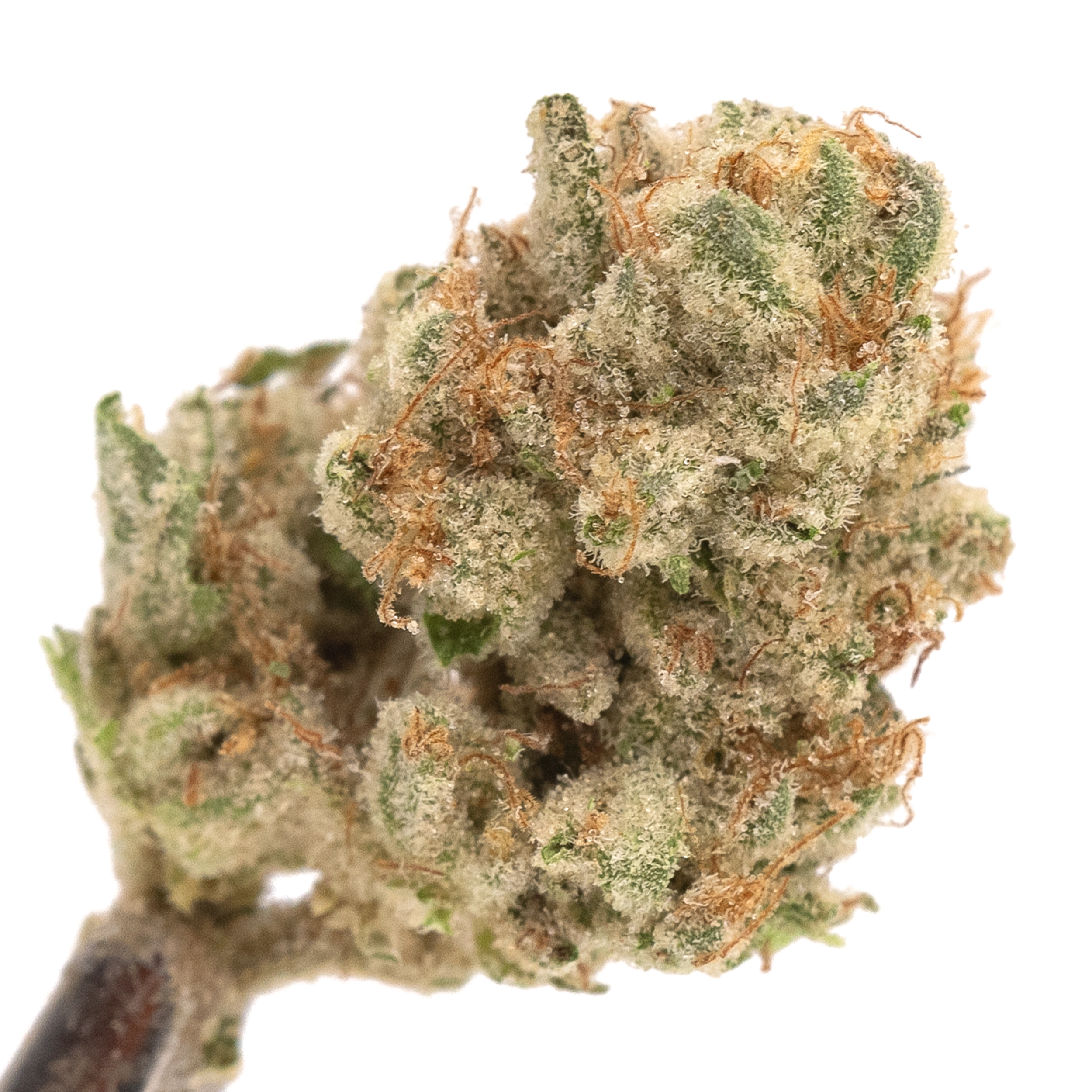 Photograph of product: 3.5g MAC Stomper