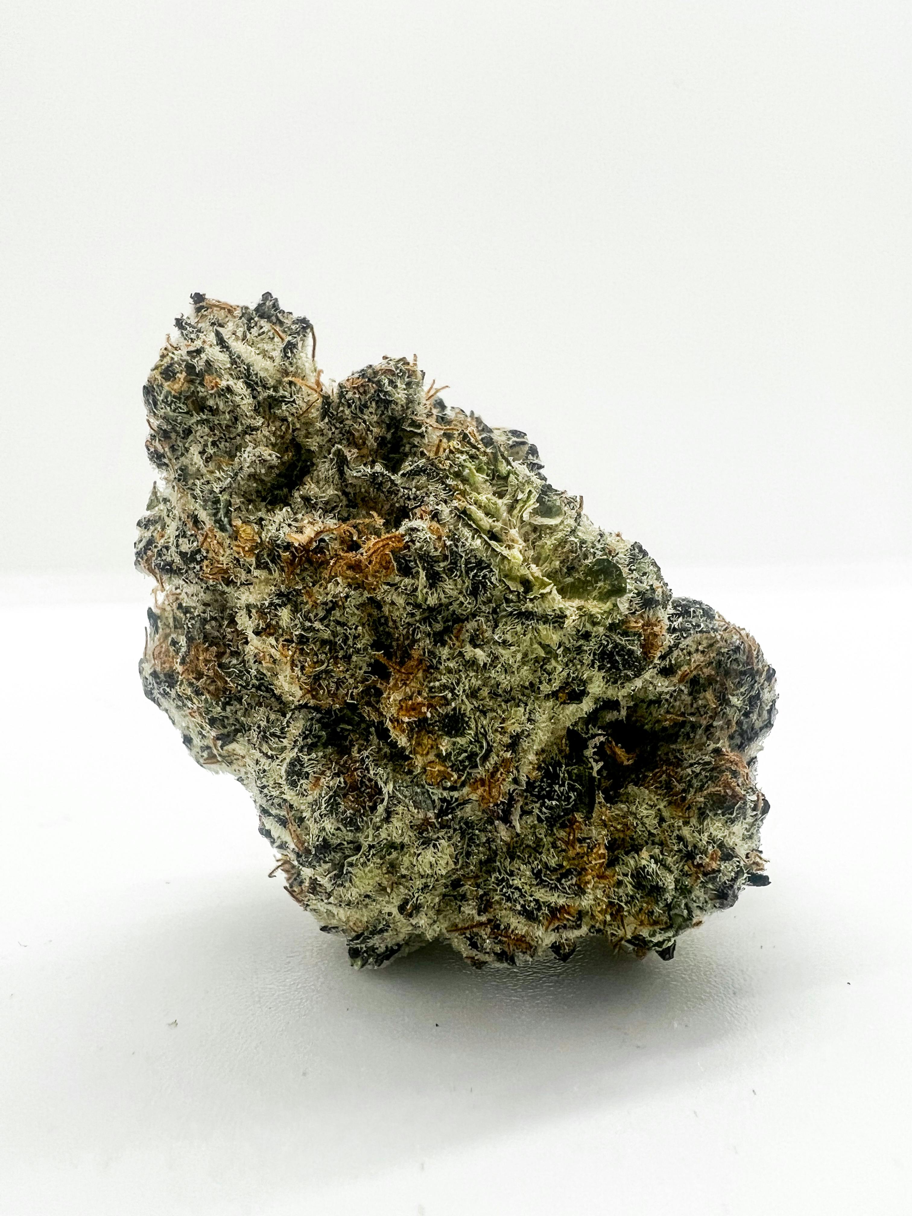 Photograph of product: Pure Michigan *H*
