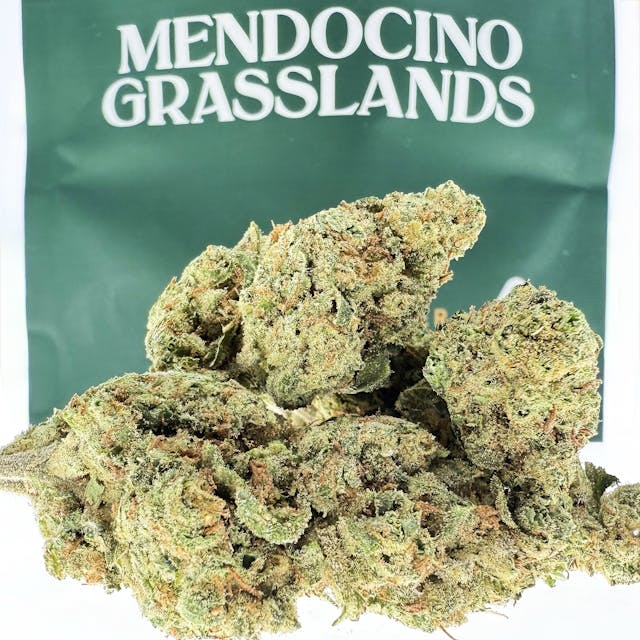 Photograph of product: Mule Fuel - 