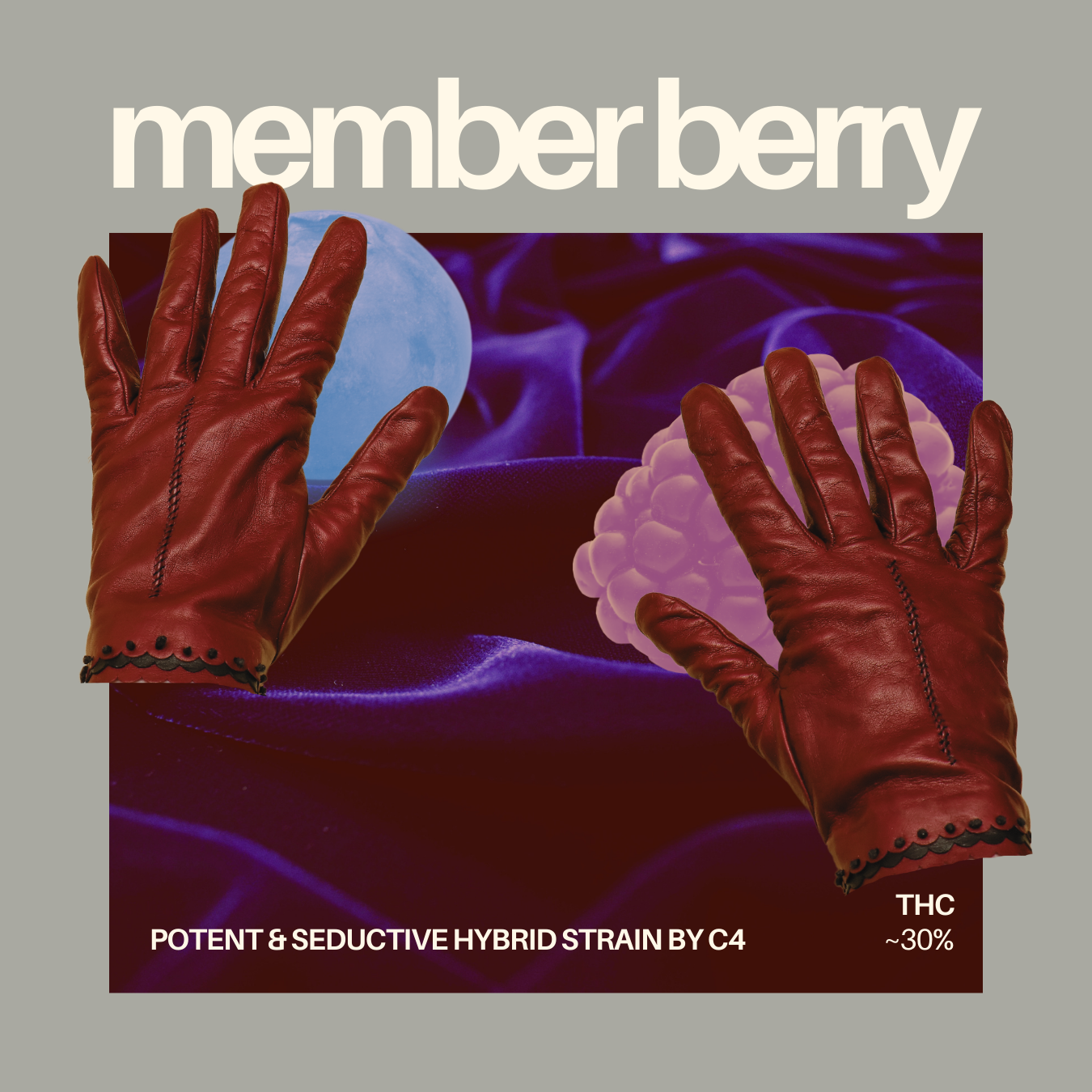 Photograph of product: C4 - Member Berry - 3.5g