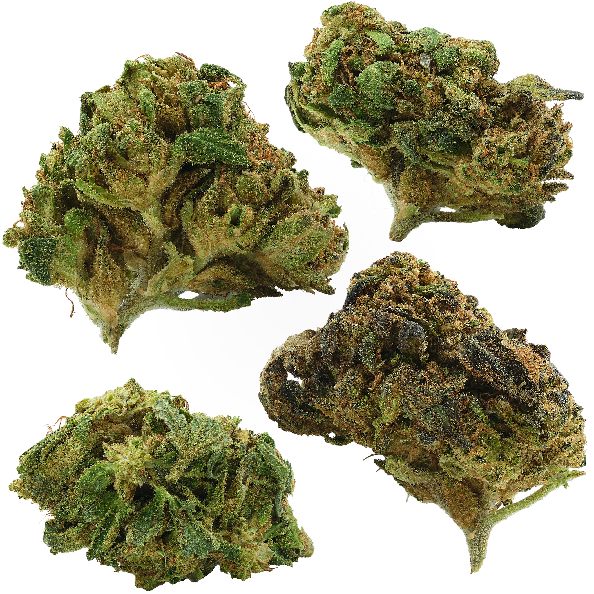 Photograph of product: Cherry Runtz Outdoor - 28g