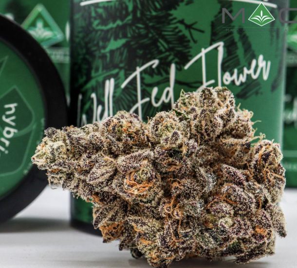 Photograph of product: Grape Zorilla (H) - 7g