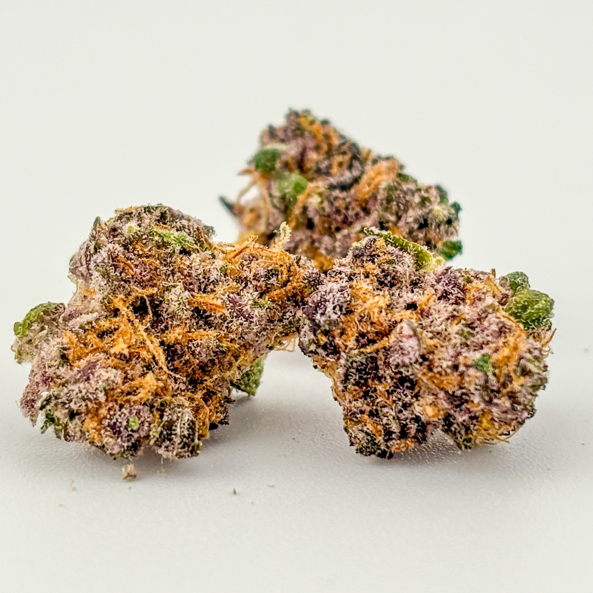 Photograph of product: High Noon | Flower (B-Buds) [H] | Sour Dragonfruit (2613)