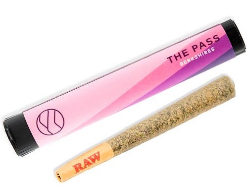 Photograph of product: The Pass | GovernMint Oasis | 1g Pre-Roll