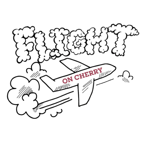 Photograph of product: Clouds - Flight Stickers - Retail